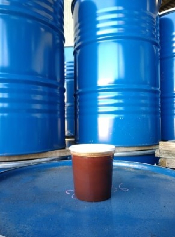 Miel de sarrasin en fût