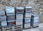 Vends ruches Langstroth 