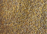Pollen polyfloral sec ou frais