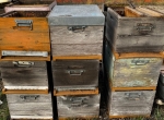 Vends ruches Dadant peuplées et ruches vides