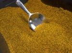Pollen sec