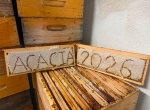 Miel d'acacia Bio 2026