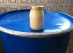 Miel de colza