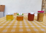 Miels de tilleul, d'acacia, de colza et de coriandre