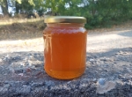 Miel de châtaignier 2026 Ardèche