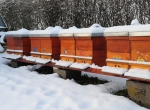 Formation Préparation à l’hivernage