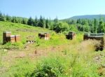 miel de montagne