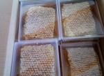 miel en section