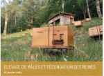 Elevage de mâles et fécondation des reines – F2027/6 - 7 janvier 2027 - visio