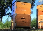 Ruche peuplée Neuve & Complète | Jura - Ain - Saône