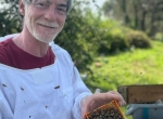 Apiculteur éleveur de reines