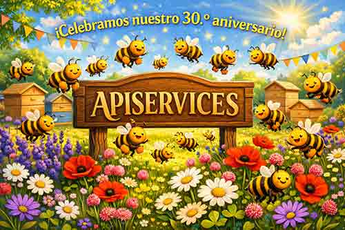 apiservices 30 aniversario
