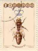 80