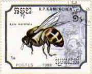 83