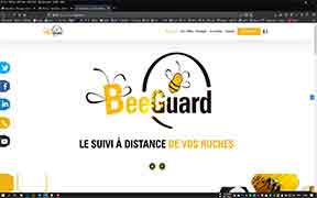 beeguard