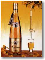 recherche.jpg (5318 octets)