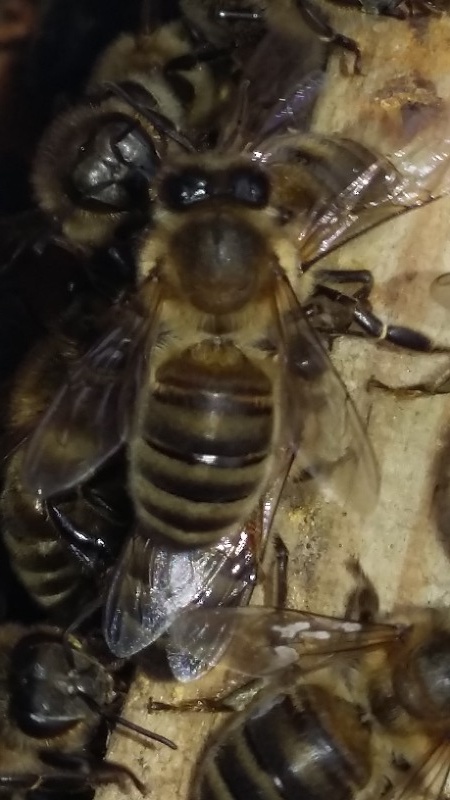 20180503_1822401.jpg