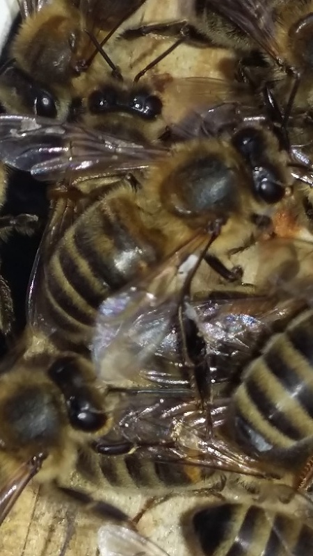 20180503_1822541.jpg