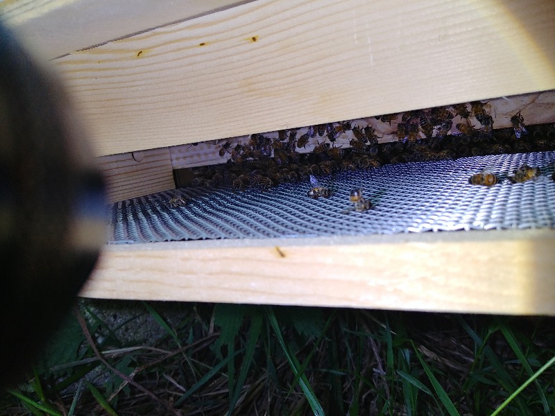 20180622_213407_HDR_2018-06-23.jpg
