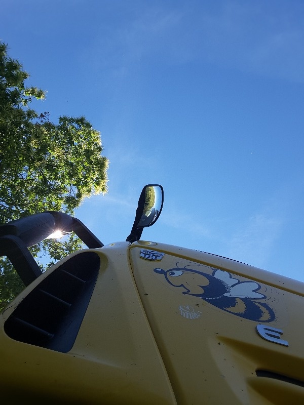 20190617_173420.jpg