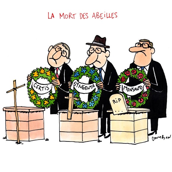 140217-mort-des-abeilles-cambon_2017-01-18.jpg