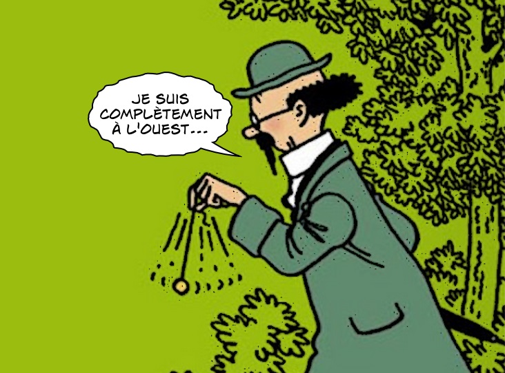 Tournesol-est-à-louest-dans-Tintin.jpg